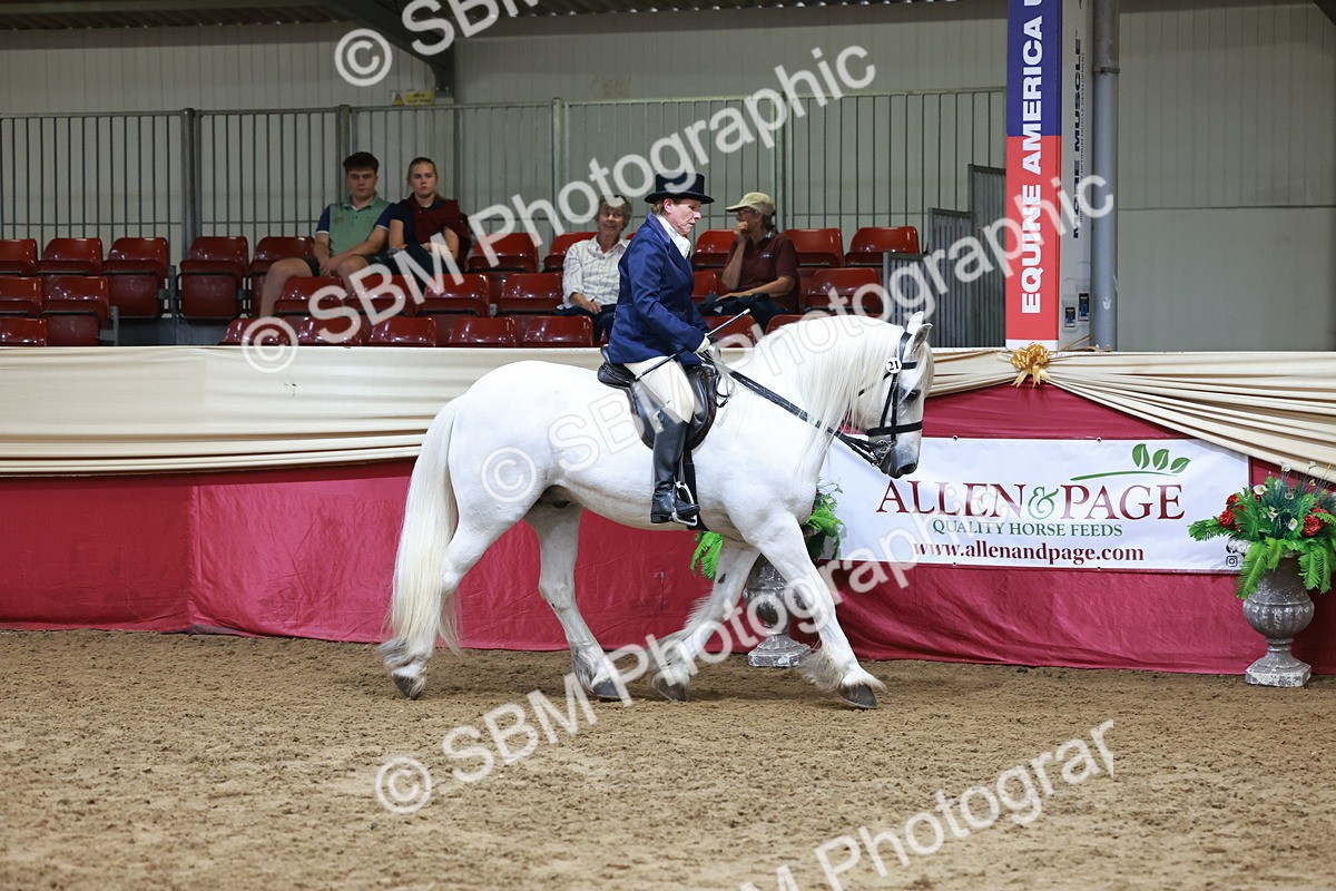 SBM_18575 - Class 952 - M&M Ridden Supreme Final