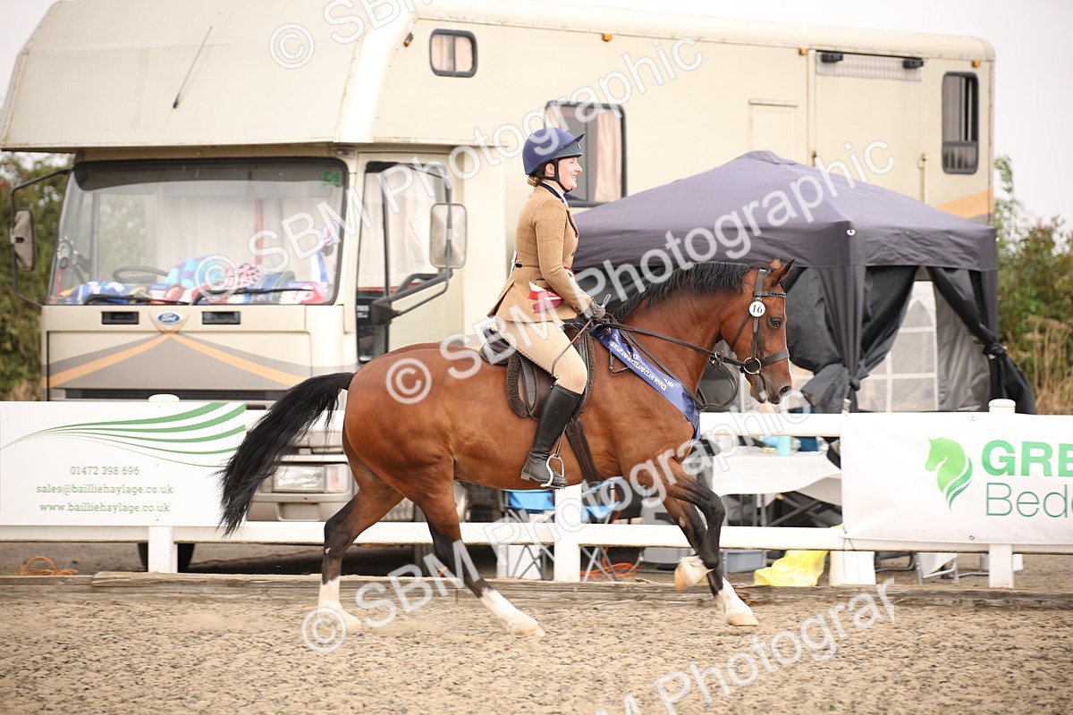 SBM_12289 - Class 405a - M&M Working Veteran 50cm (15-19)