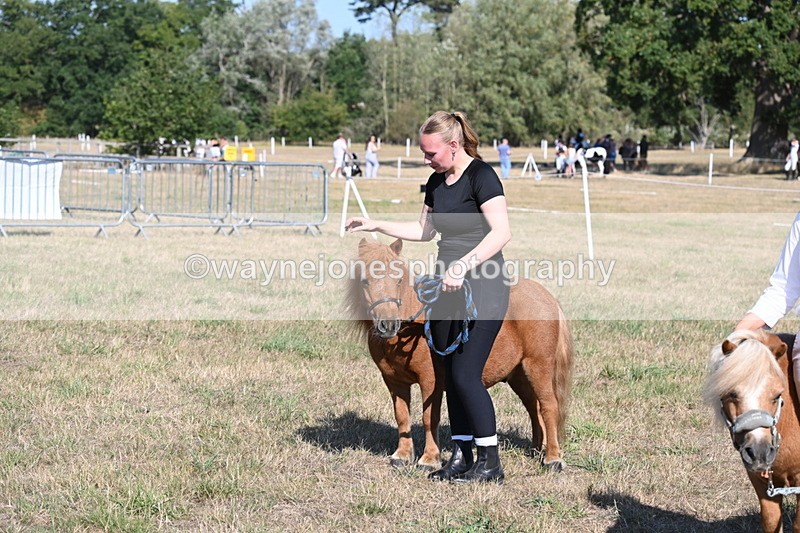WJ6_7321 - Class 33 Rescue Pony