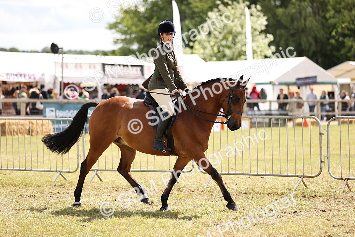 SBM_14521 - Class 88-89 - LIHS BSHA Rising Star of Ridden Hunter Type