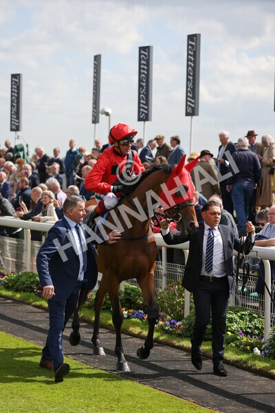 yr11052022r4-9 - Race 4 3.35pm Tattersalls Musidora Stakes