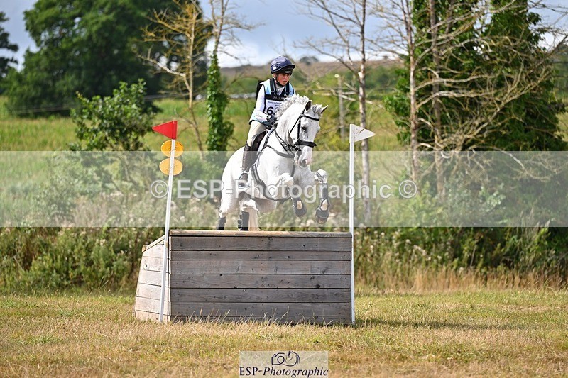 250803A-154700-16101 - O-685-Kitty.King-COOLEY.HOT.SOCKS