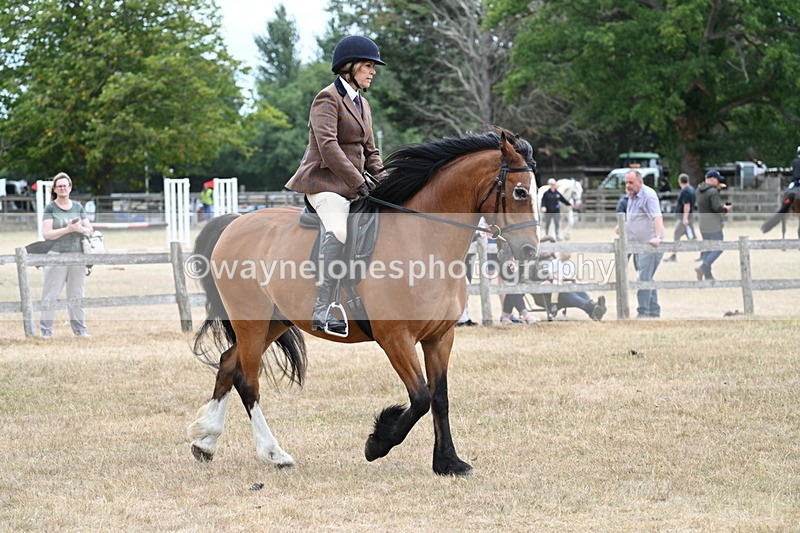 WJ7_0565 - Class 6 Ridden Mountain and Moorland