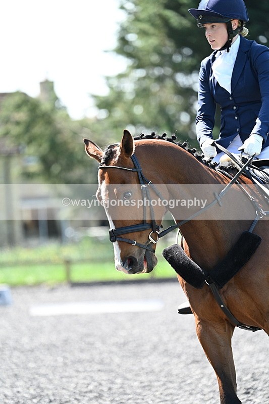 WJ7_9286 - Time 11:56 to 12:08