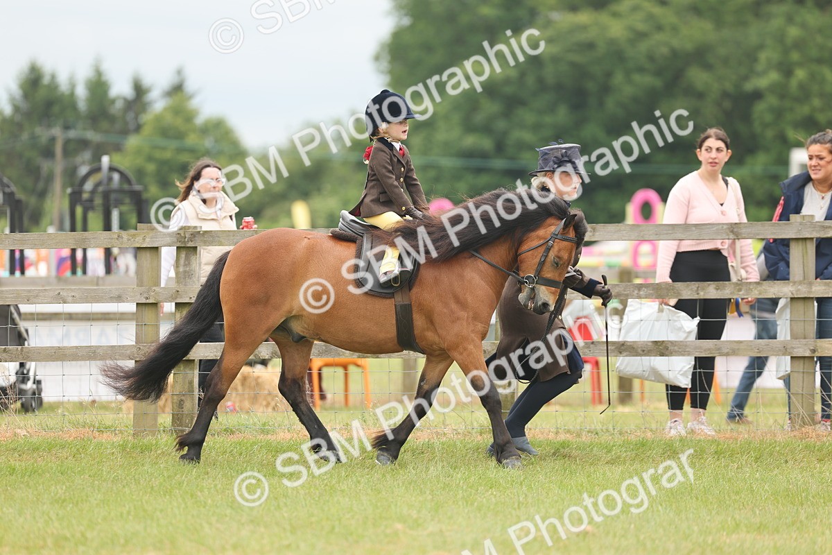 SBM_06712 - Class 74-75 - M&M Lead Rein and First Ridden Pony