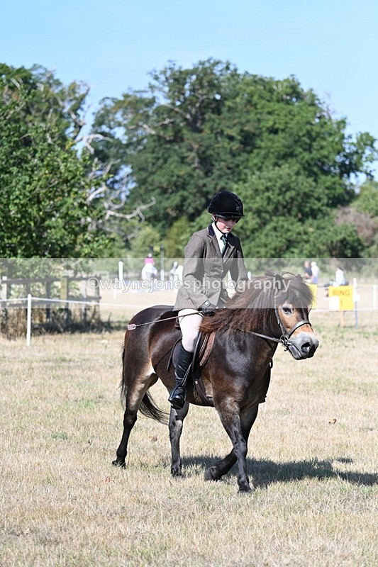 WJ7_3971 - Class 9 Mountain & Moorland Ridden