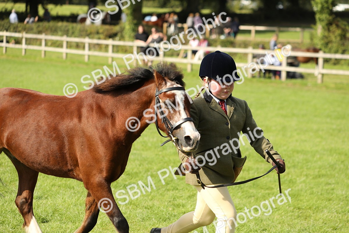SBM_68610 - S40 - Junior Handler 9-12 Years
