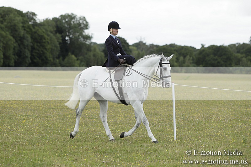 BVR160717-2345 - Side Saddle Classes 16/07/17