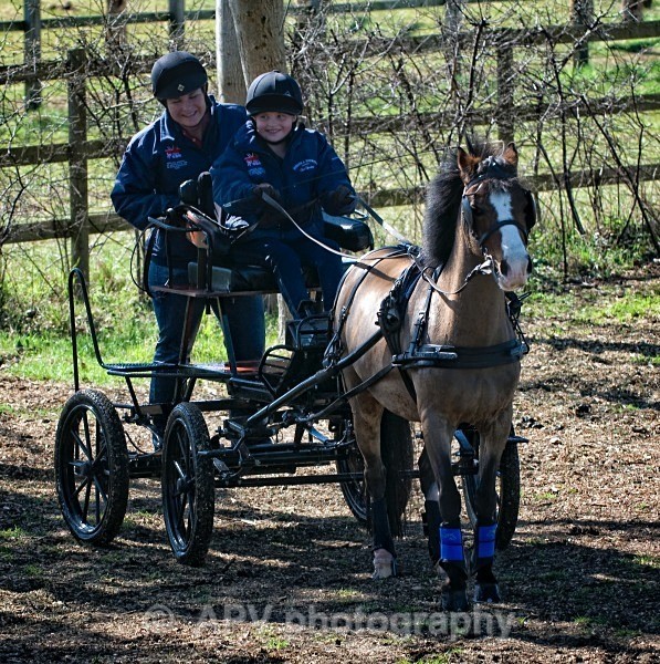 _DSC0116crop - Ashfields Carriage & Polo Club