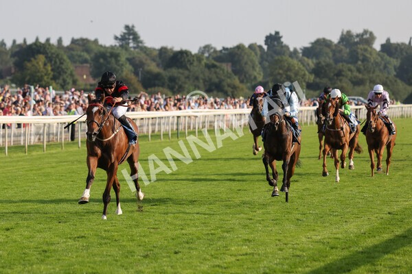 yr05092021r7-21 - Race 7 5.10pm Yorkshire Regiment Stakes