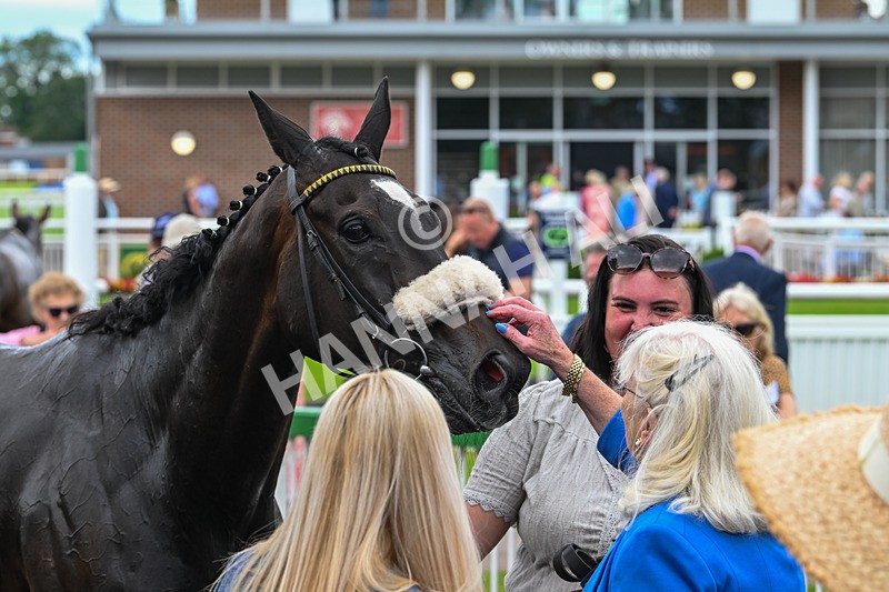 170724-Race 5-Abruzzo Mia-0291 - Race 5