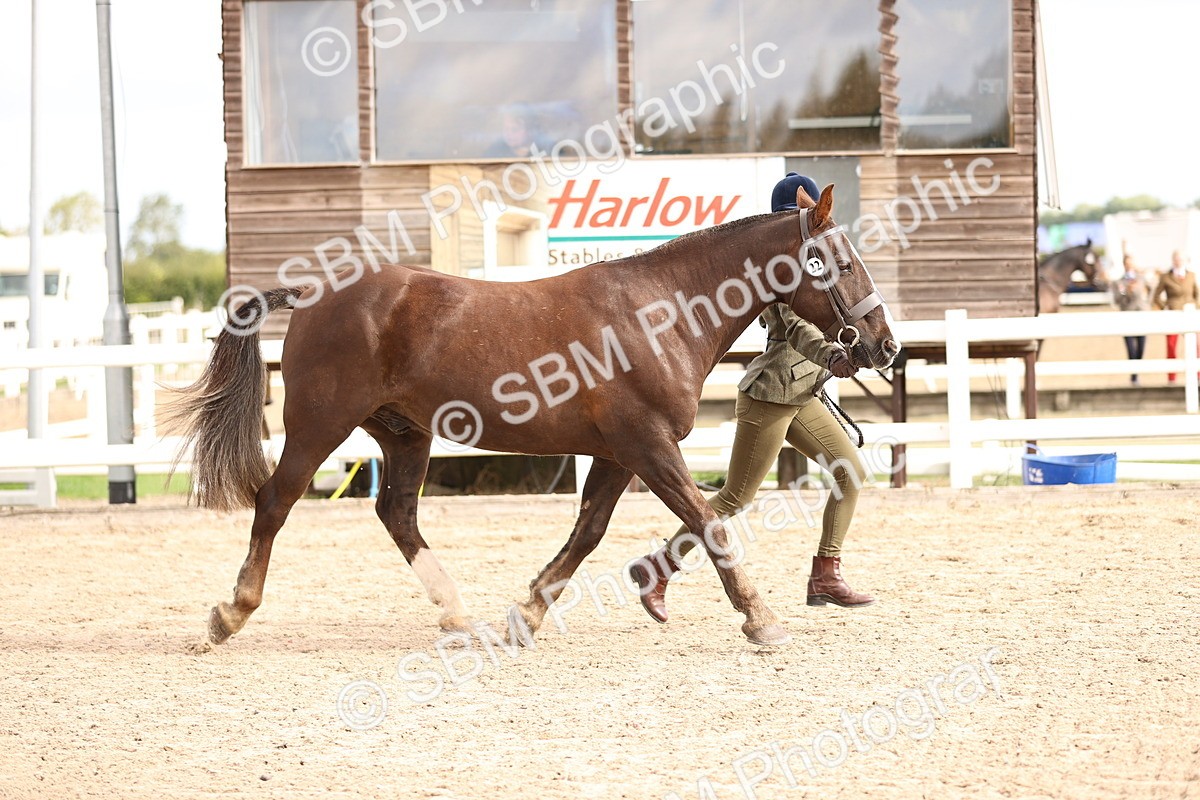 SBM_10370 - Class 405 - IH Show Cob
