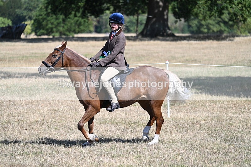 WJ7_4249 - Class 9 Mountain & Moorland Ridden