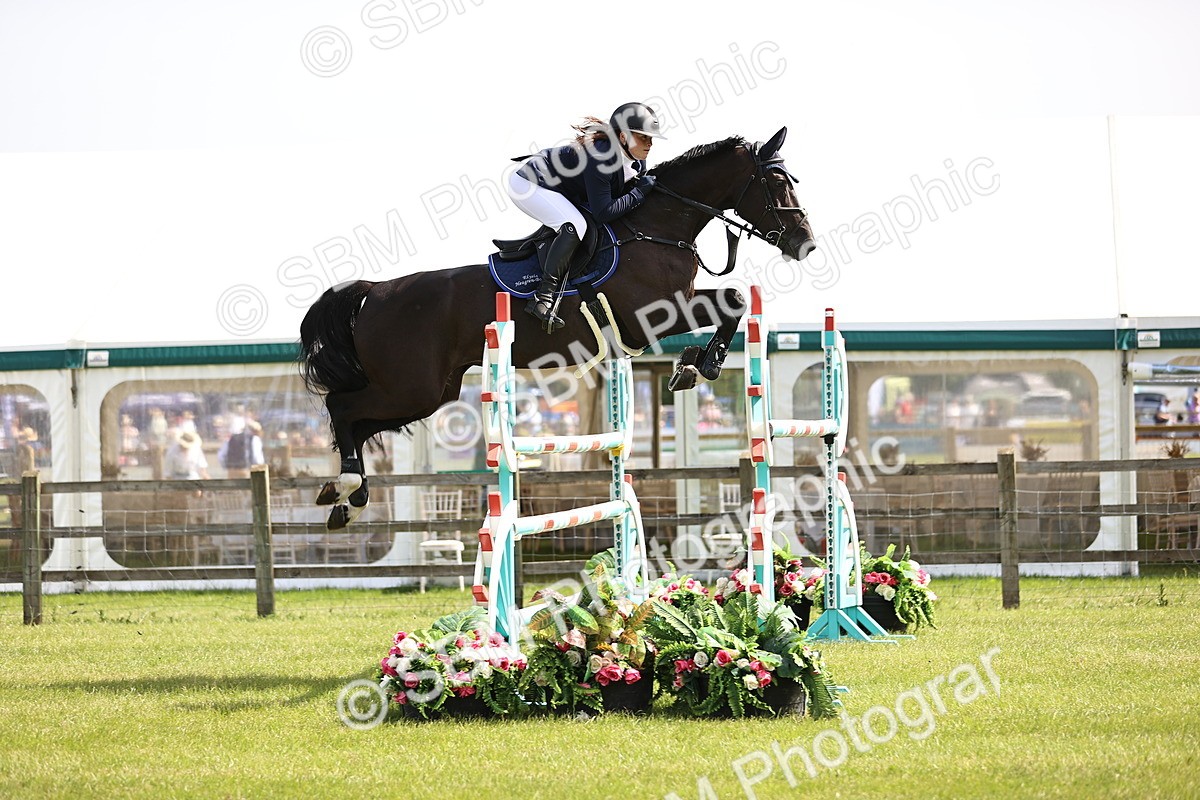 SBM_03082 - Class 201 - British Horse Feedds Speedi Beet HOYS Grade C