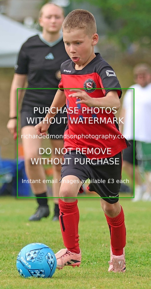 533A2980 - Sedbergh Wanderers (morning Ibis)