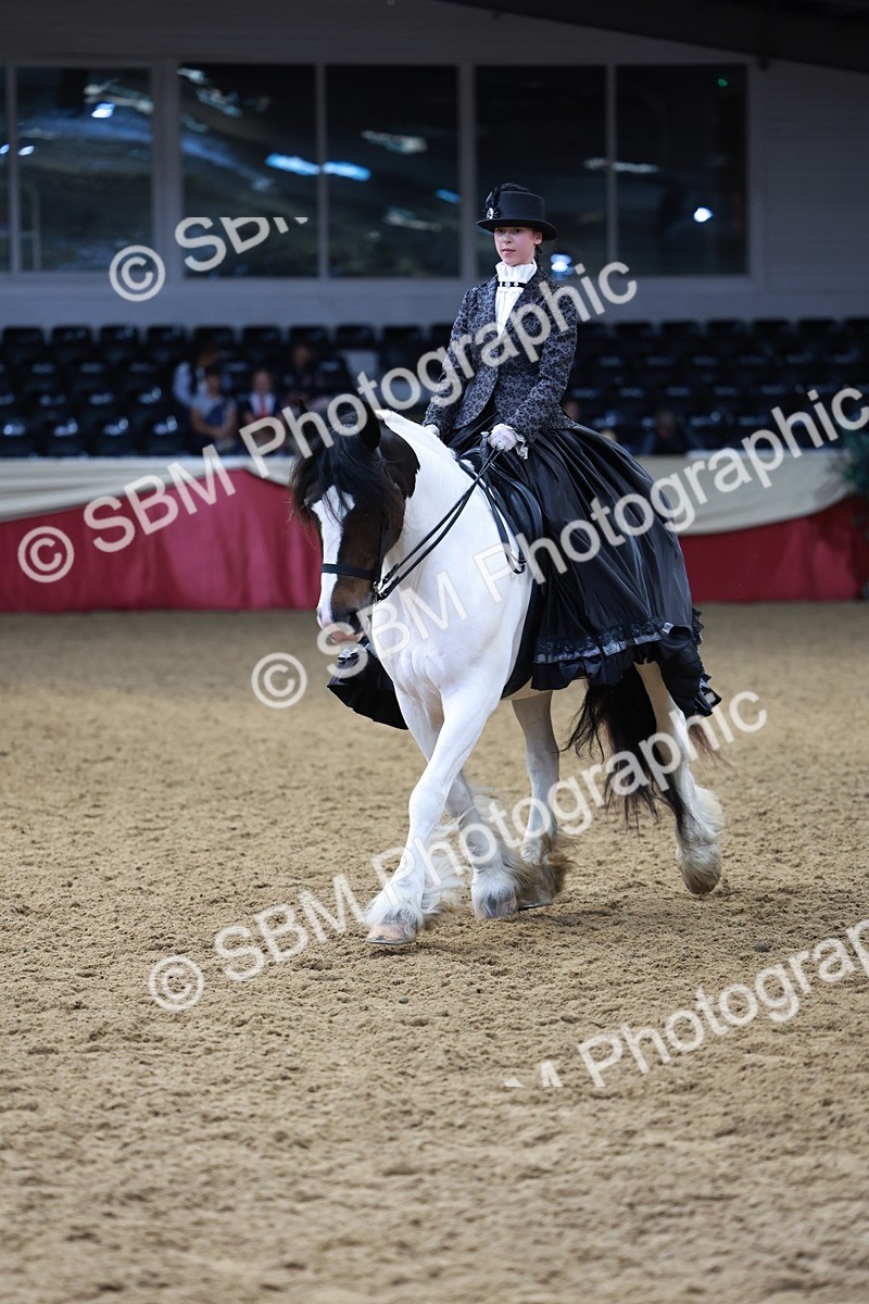 SBM_13777 - Class 106 - Ridden Costume -Astride Adult (15-19)