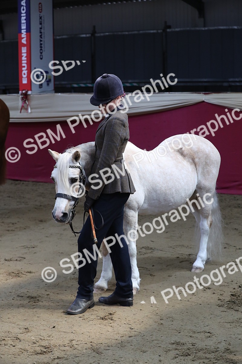 SBM_04453 - Class 7R Regional - IH Diamond