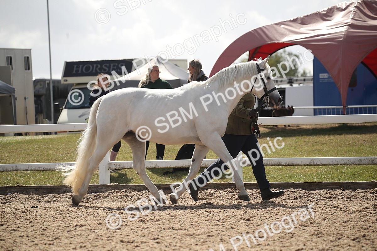 SBM_23093 - Class 606 - 2026 - Area - IH Pre Vet