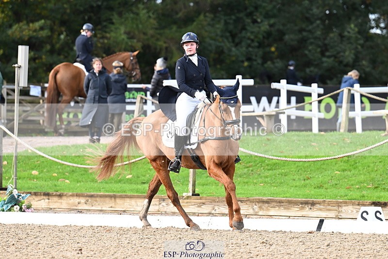 251023A-101823-01488 - B-128-Holly.Law