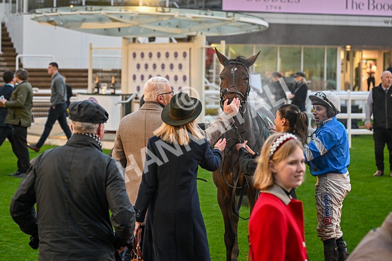 151125-Race 7-Divine Diva-4836 - Race 7