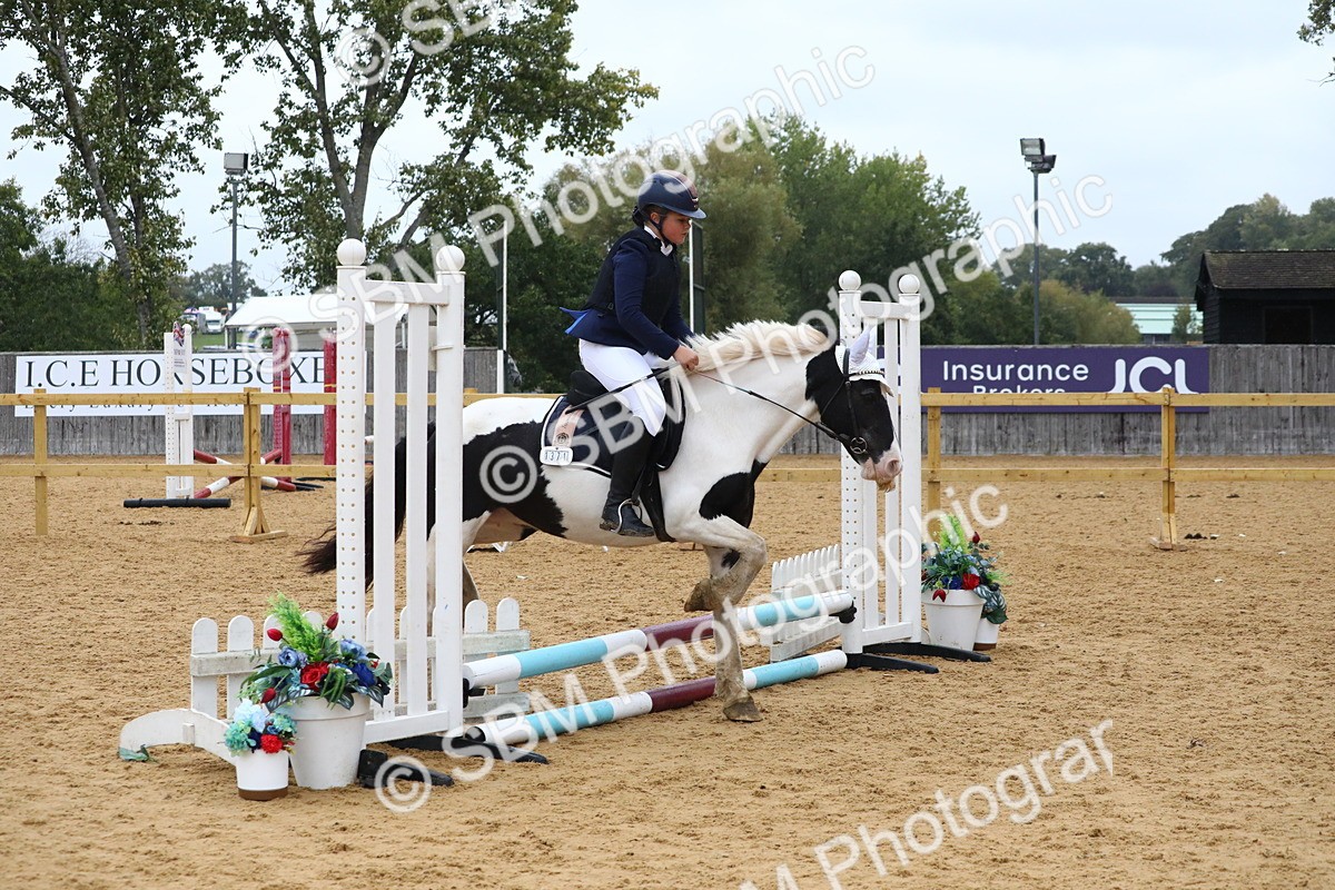 SBM_72010 - J3b - Mini Tour Junior Pony 40cm Championship