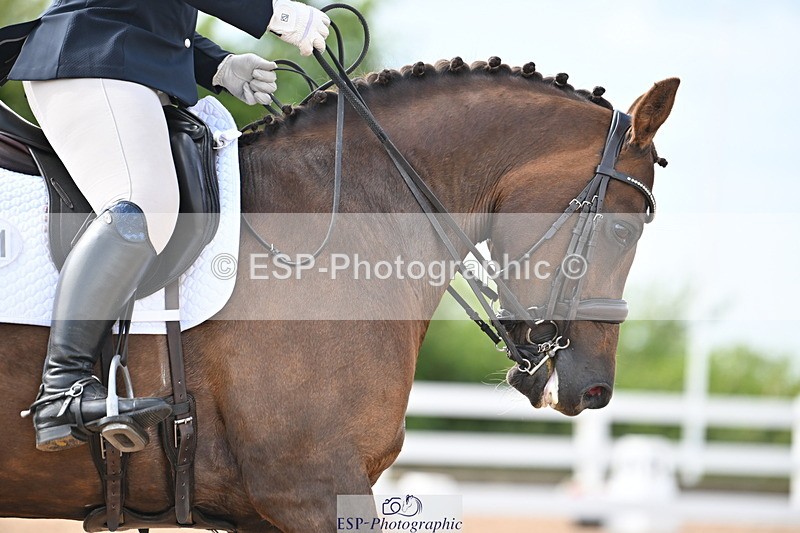 240621A-160403-04874 - Cls 13 BD Adv Medium 91