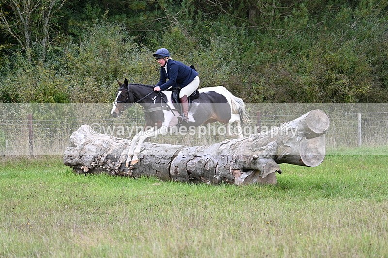 WJ7_3625 - Camera 1 Line 1