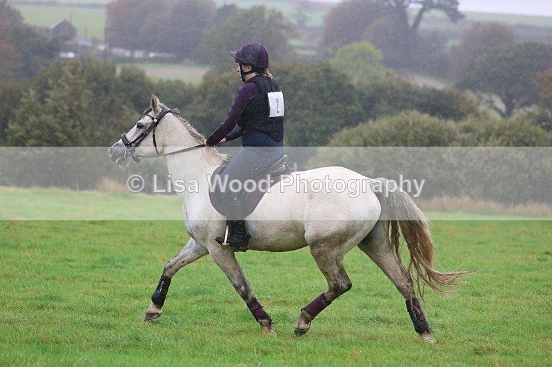 3E7A0999 - Class 1: 65cm: Rails