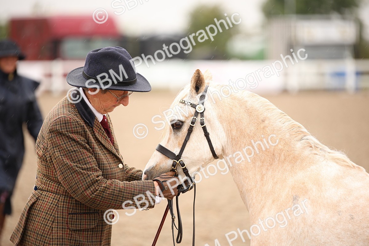 SBM_20683 - Class 705 - IH  Combination 65+
