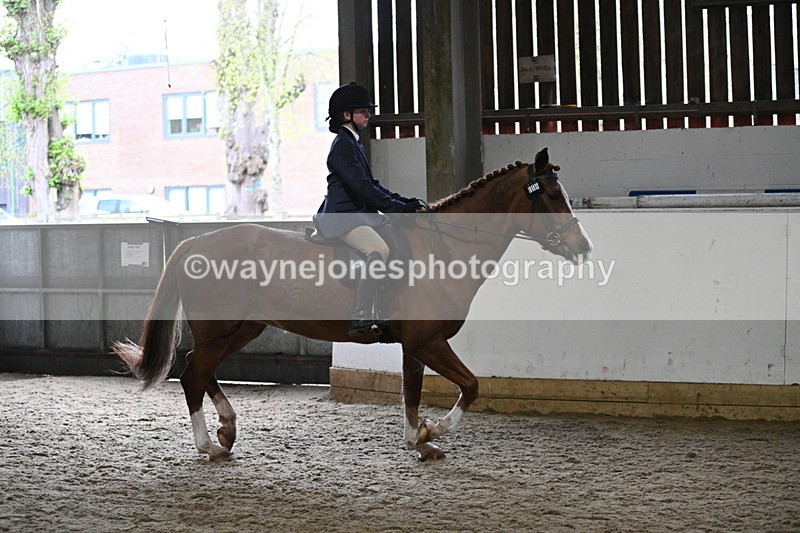 WJ7_3782 - Class 17 Ridden Cob