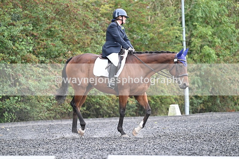 WJ7_4586 - Time 12:12 to 12:30