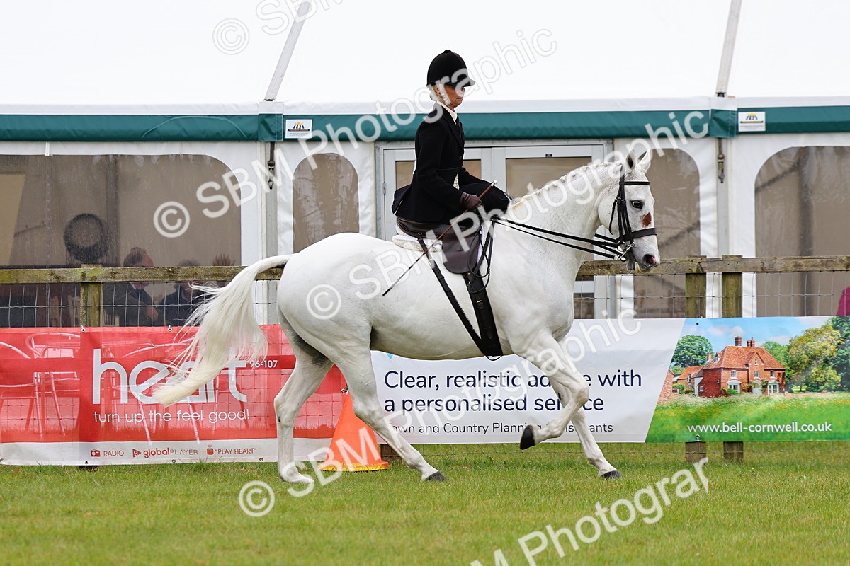 SBM_02744 - Class 9-11 Side Saddle including LIHS Rising Star Ladies Show Horse