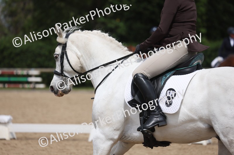 20260607-0678 - Class 3 - Novice 5