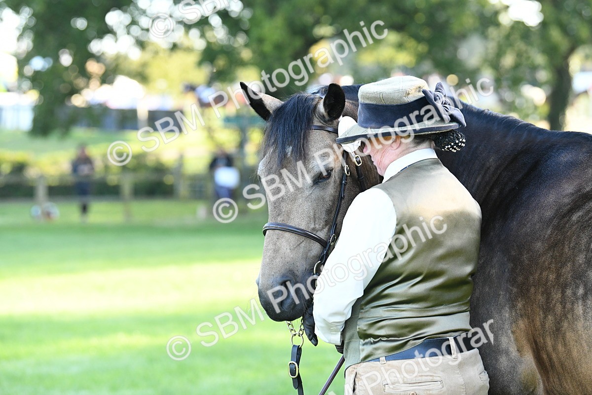 SBM_32746 - S15 - Condition & Turnout In Hand