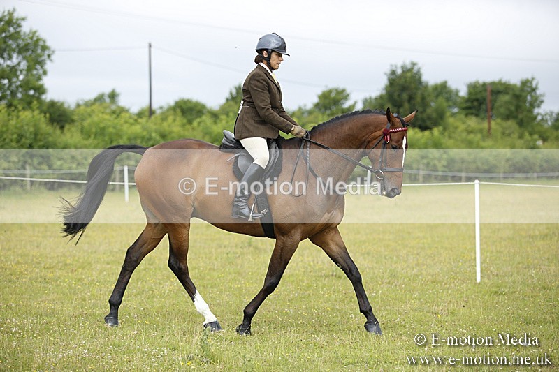 BVR160717-263 - Ring 1 BVRC Show 16/07/17