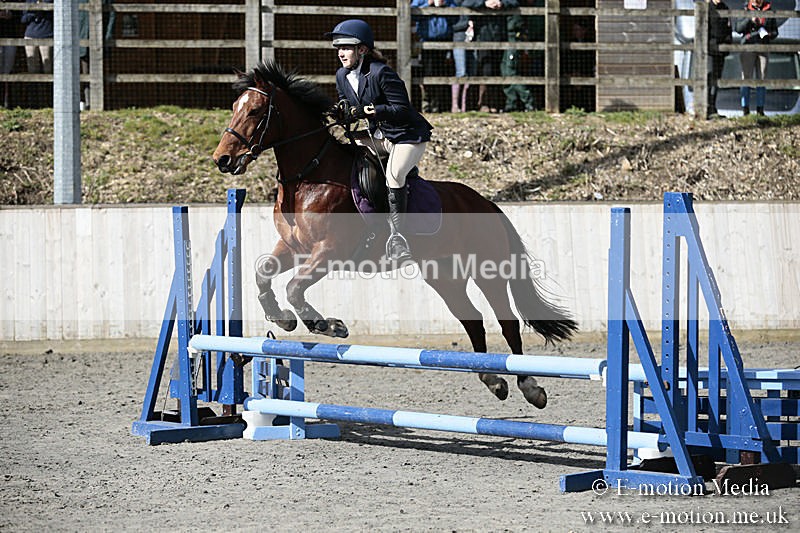 BVRC SJ 170319 176 - Bourne Valley Riding Club Showjumping 17/03/19