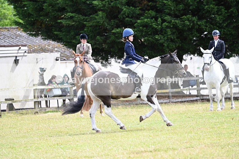 WJ7_9721 - Class 8 Ridden Veterans