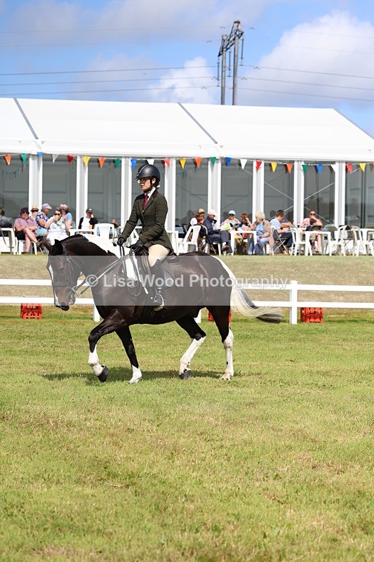 3E7A9838 - Class 5: Rising Star Lightweight/Heavyweight Cobs