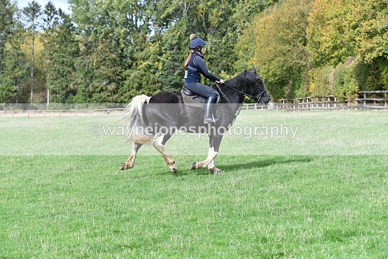 WJ5_9437 - Time 13:03 to 13:25