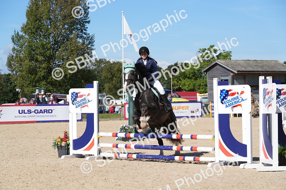 SBM_38764 - J21 - Junior Horse 60cm Championship