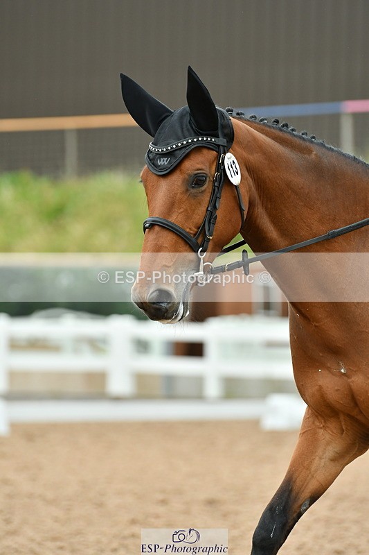 230630A-120248-01767 - Cls 7 Elementary 45