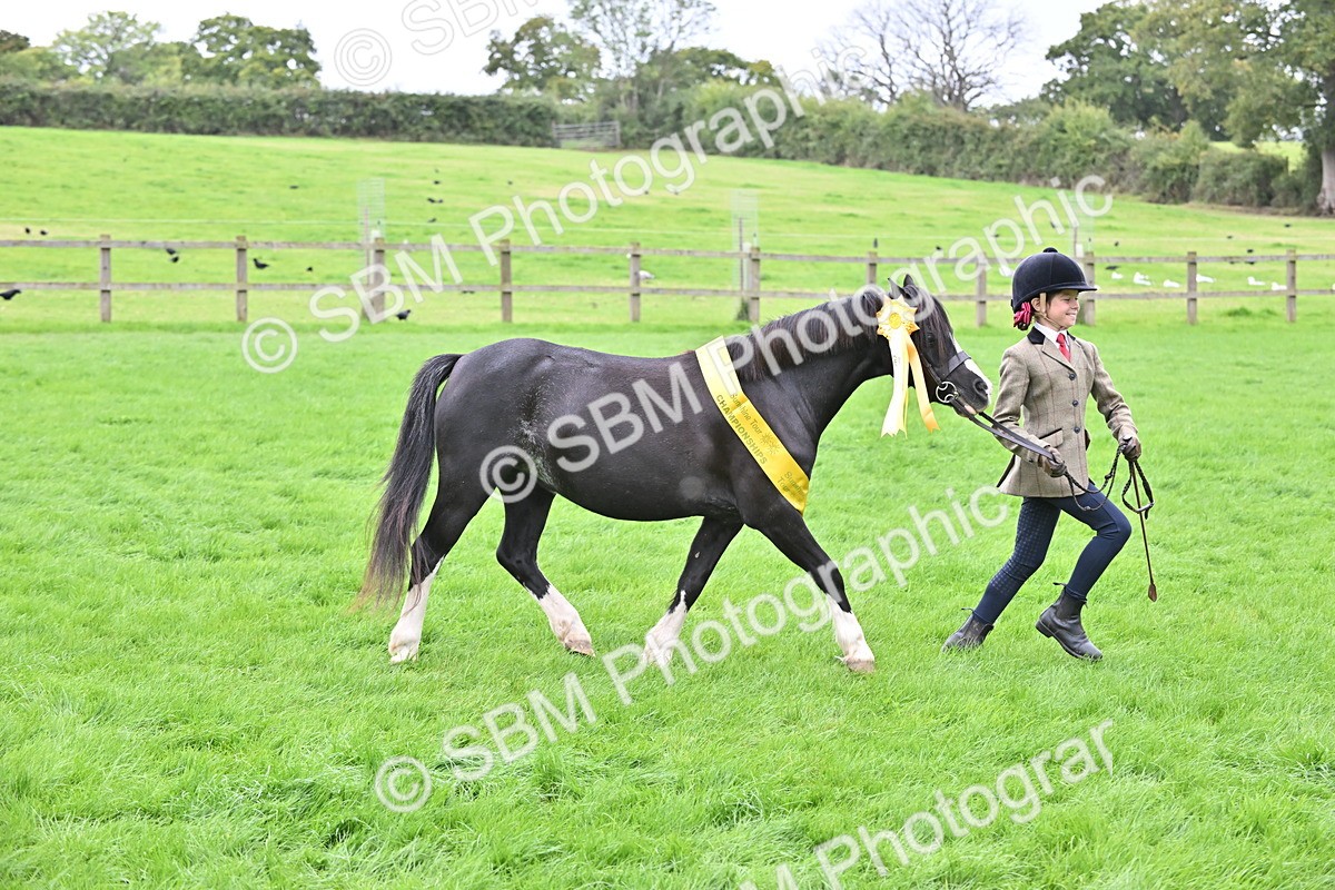 SBM_66838 - S41 - Junior Handler 8 Years & Under