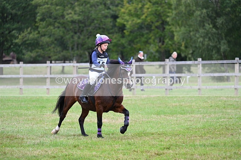 WJ7_7384 - 40cm Time 10:06 to 10:24