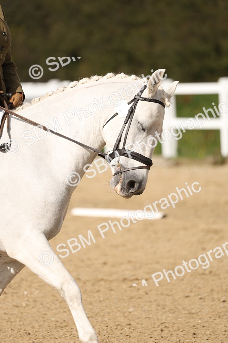 SBM_002049 - Class 5 - Elementary 4