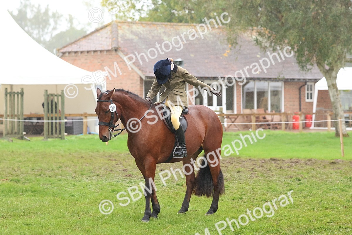 SBM_73019 - S63 Show Pony & Show Hunter Pony Ridden
