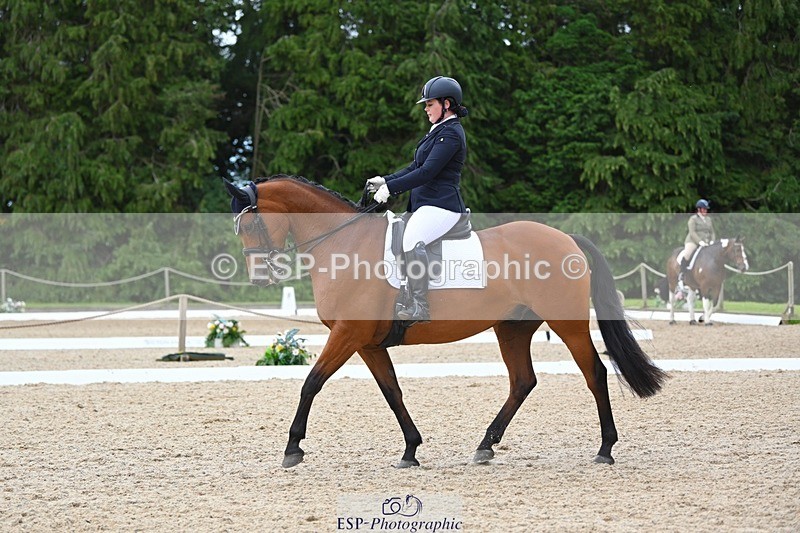 230813-132014-07534 - Cls 13 Medium Bronze 13.15 to End