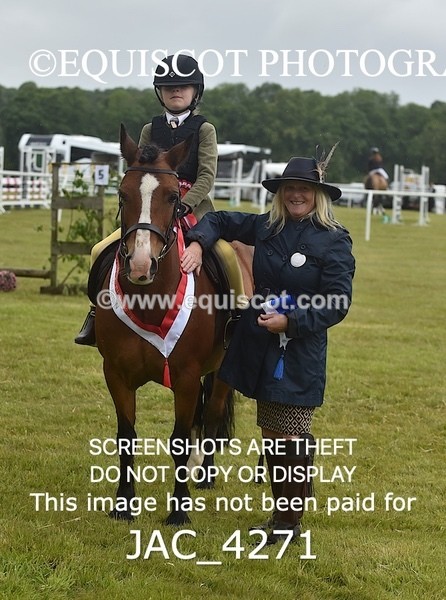 JAC_4271 - WORKING HUNTER CHAMPIONSHIP