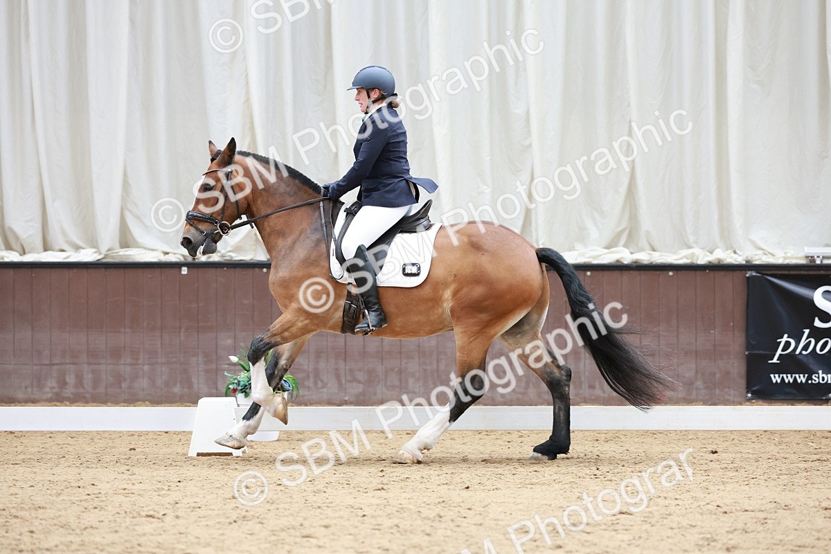 SBM_009042 - Class 6b - Novice 6 - 11.02-12.19