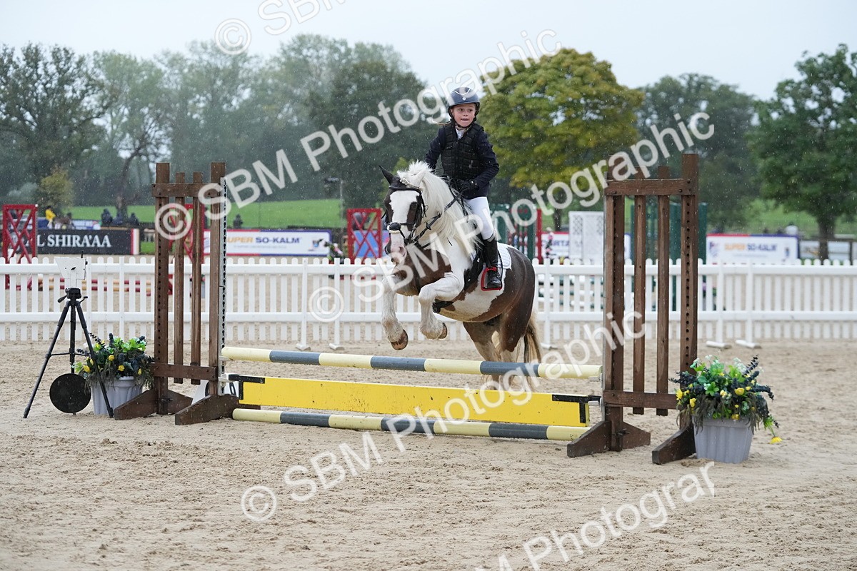 SBM_34062 - J5 - Junior Pony 50cm Championship