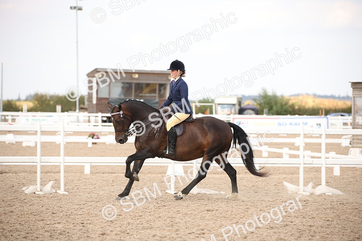 SBM_08790 - Class 12R Regional Ridden Pre-Vet